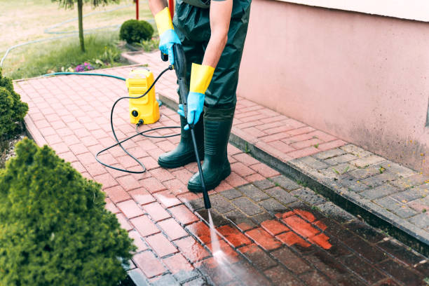 Best Gutter Cleaning  in Alma, MI