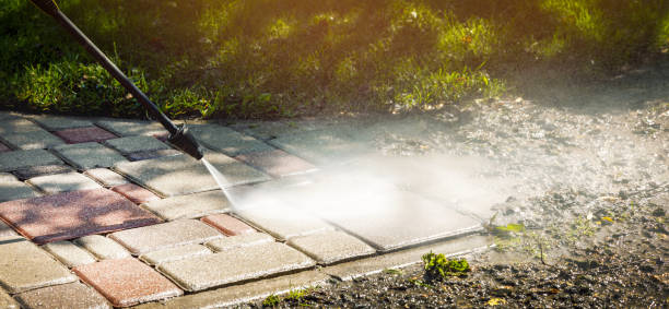 Best Gutter Cleaning  in Alma, MI