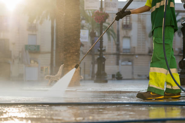 Best Dumpster Area Cleaning  in Alma, MI